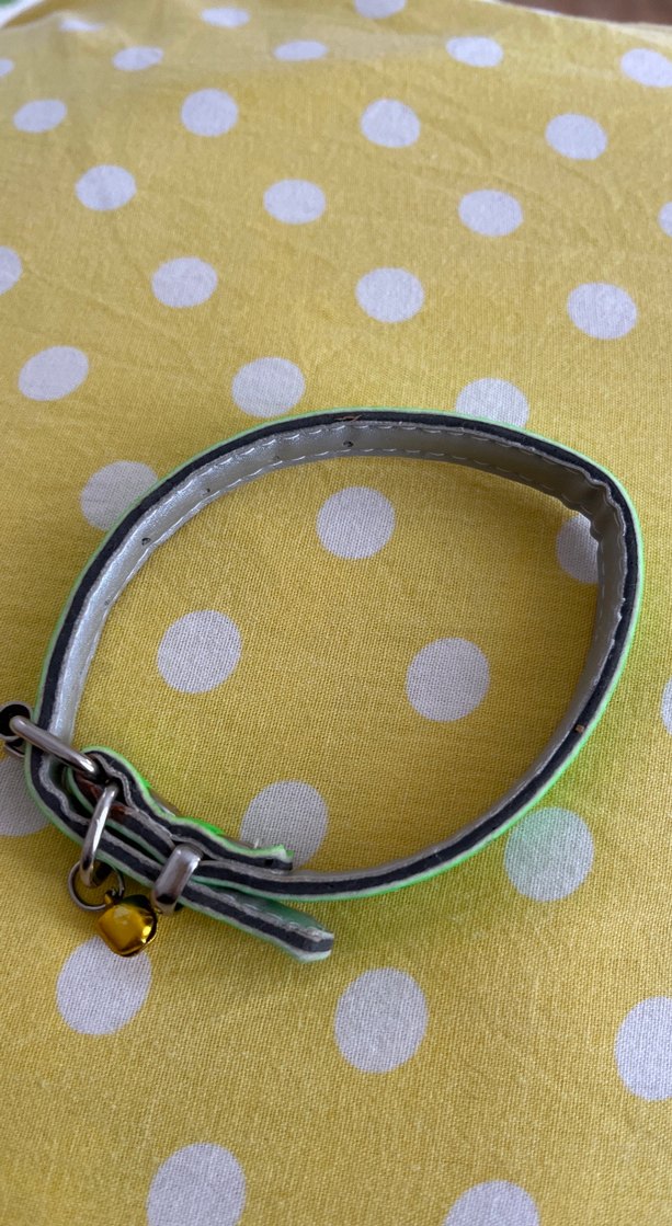 Yeşil Renkli Zilli Kedi Tasması - Görsel 3