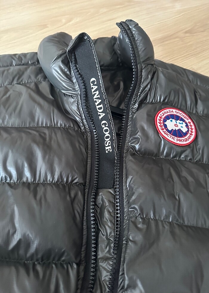 Canada goose - Görsel 2