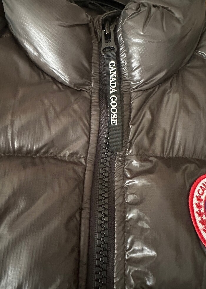 Canada goose - Görsel 3