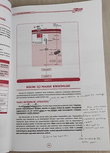 Beden Patoloji tusdata tus kitabı