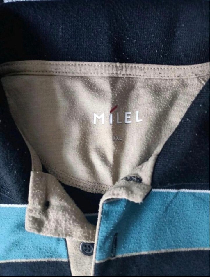 Erkek Lacivert Çizgili Uzun Kollu Polo Tişört - Görsel 2