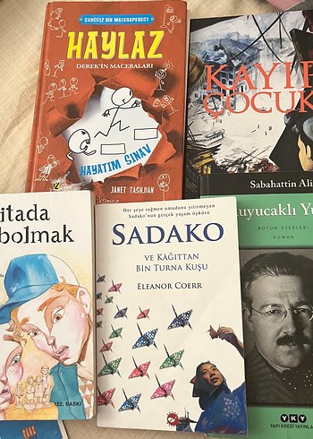 Çeşitli Roman ve Hikaye Kitapları Seti - Görsel 2