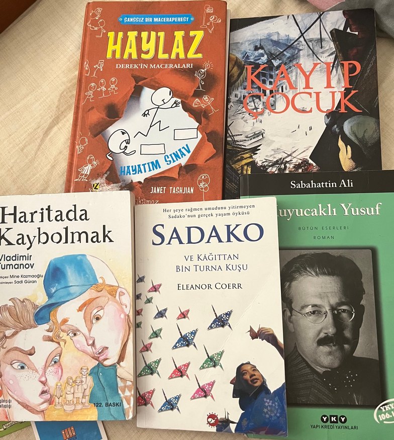 Çeşitli Roman ve Hikaye Kitapları Seti - Görsel 2