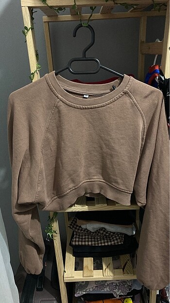 S Beden Crop