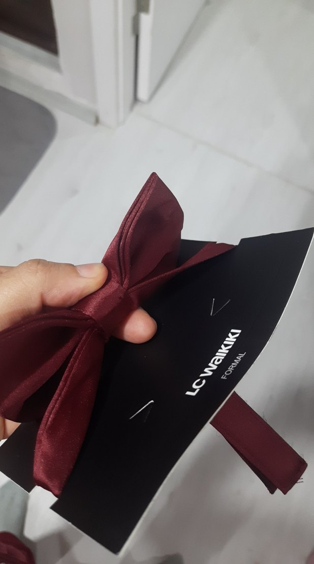 Bordo Çocuk Papyon - LC Waikiki - Görsel 4