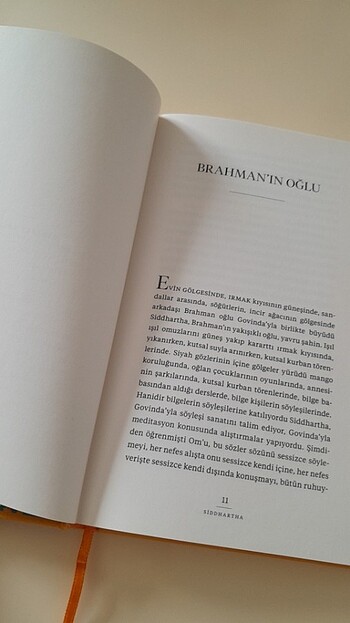  Beden Renk Siddartha - Hermann HESSE
