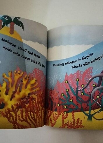  Beden Renk İngilizce Çocuk Kitabı 