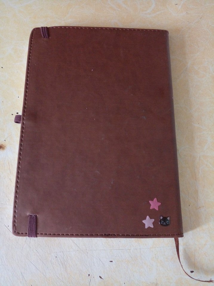 Kahverengi Parlak Okisan Planlayıcı - Görsel 2