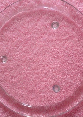 Vintage 22 cm'lik cam sunum tabakları - Görsel 4