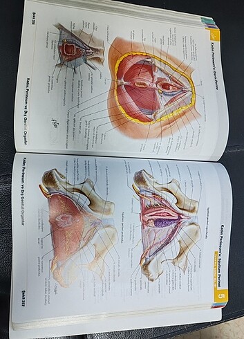  İnsan Anatomisi Atlası