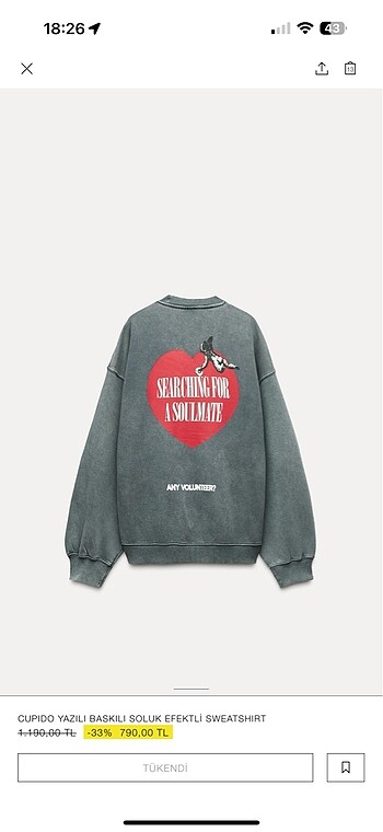 Zara Zara sweatshirt