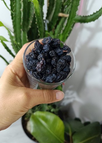 Siyah Kuru Üzüm - Görsel 3