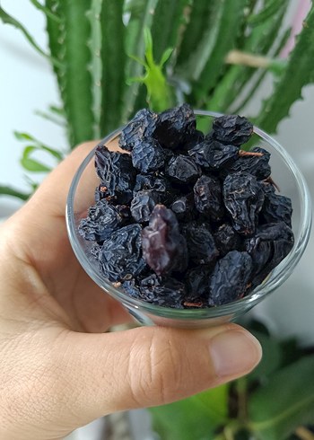 Siyah Kuru Üzüm - Görsel 4