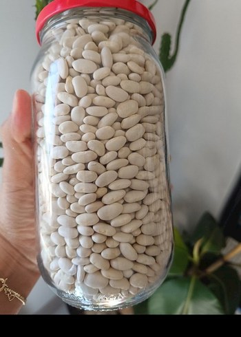 Kuru F asulye - Görsel 2