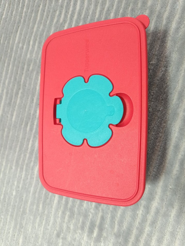 Tupperware Büyük Islak Mendil Kutusu - Görsel 2