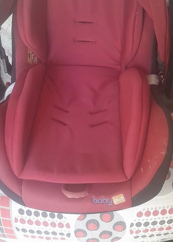 bordo puset