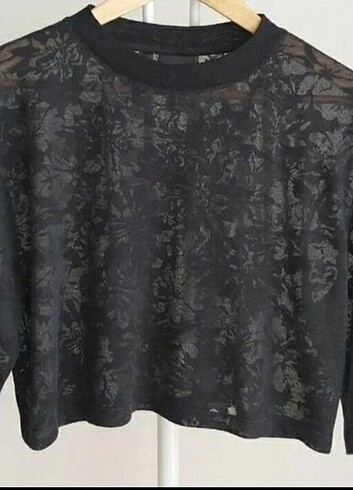 Diğer lvy park crop t-shirt