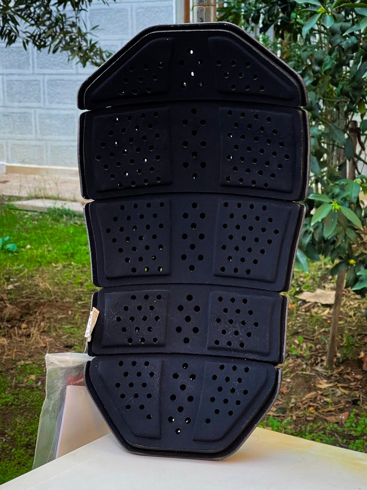 Dainese Manis D1 G2 Sırt Koruma - Görsel 2