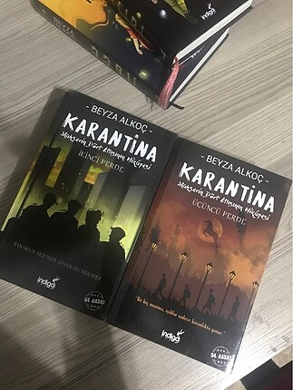 Beyza alkoç karantina 2. ve 3.kitapları