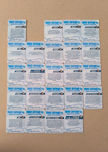 Mavi Hafıza Kartları - Buz Devri 4 - Görsel 3