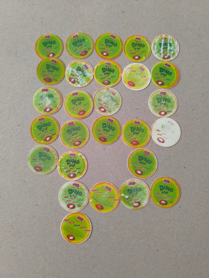 Dino taso - Görsel 3