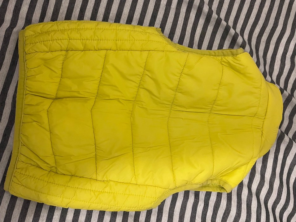 Erkek Çocuk Sarı Fermuarlı Yelek - Görsel 3