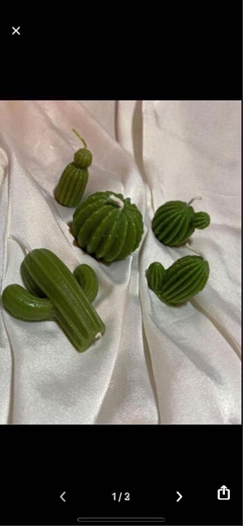 5 şi kaktüs mum seti
