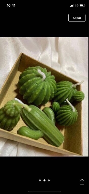 5li kaktüs mum set