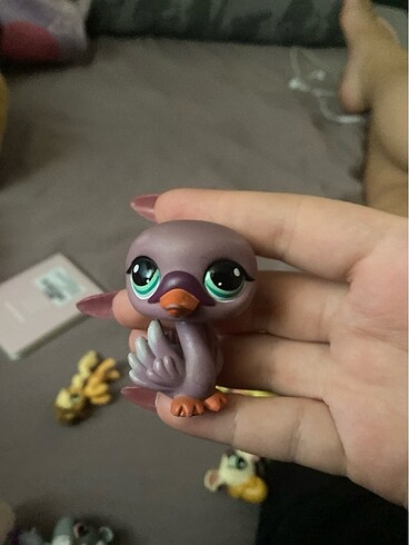 Miniş