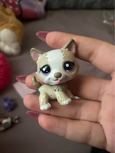 Miniş