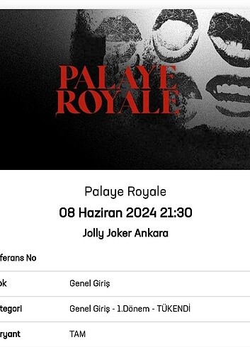 Ankara Palaye Royale konser bileti 