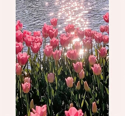 Çiçekli mozaik taş yapıştırma hobi