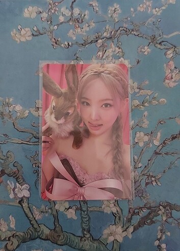 nayeon