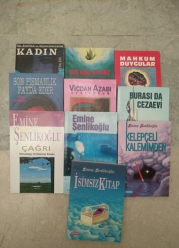Emine şenlikoglu 