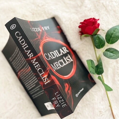 Cadılar Meclisi / Lizzie Fry