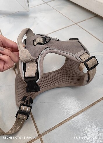 Köpek yelegi