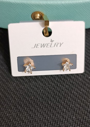 Altın Renkli Mini Yıldız Küpeler(çelik) - Görsel 2