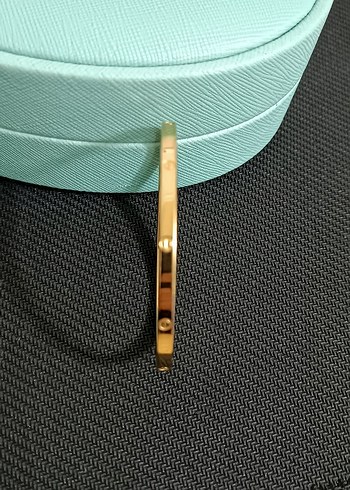 Catier Altın renkli Çelik Kadın Bileklik - Görsel 2