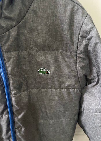 Lacoste 6 Yaş
