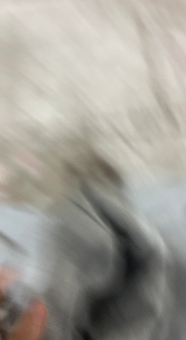 Gri Yüksek Yaka Kadın Sweatshirt - Görsel 5