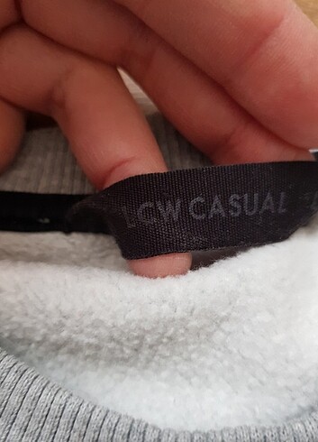 LC Waikiki Erkek sweatshirt