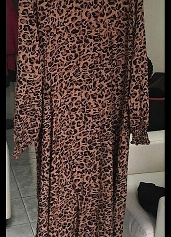 Leopar