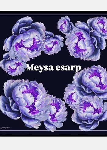 zerafetim twil ipek - Görsel 2