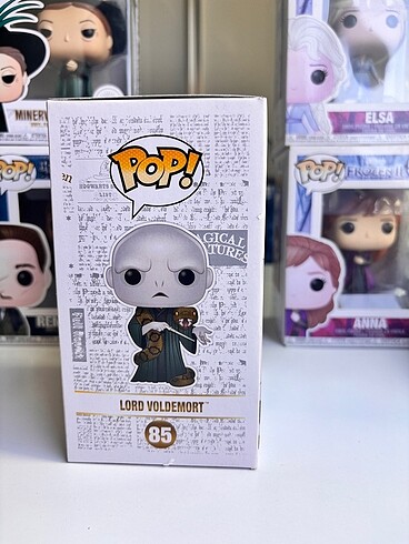  Beden Renk Voldemort funko