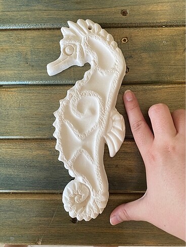 Ham obje alçı denizatı - Görsel 2