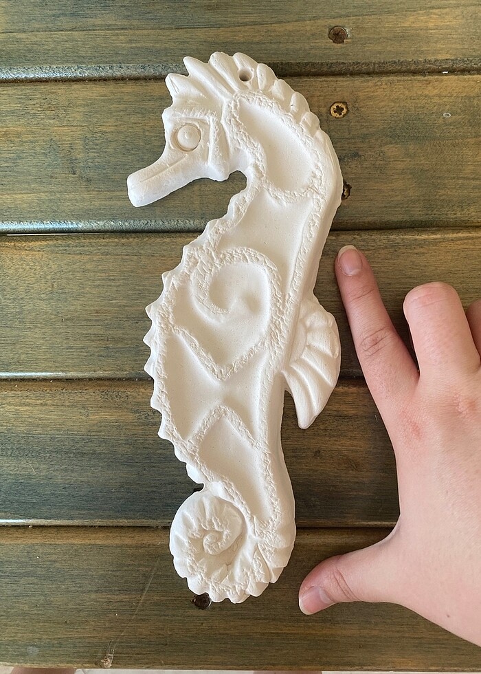 Ham obje alçı denizatı - Görsel 2