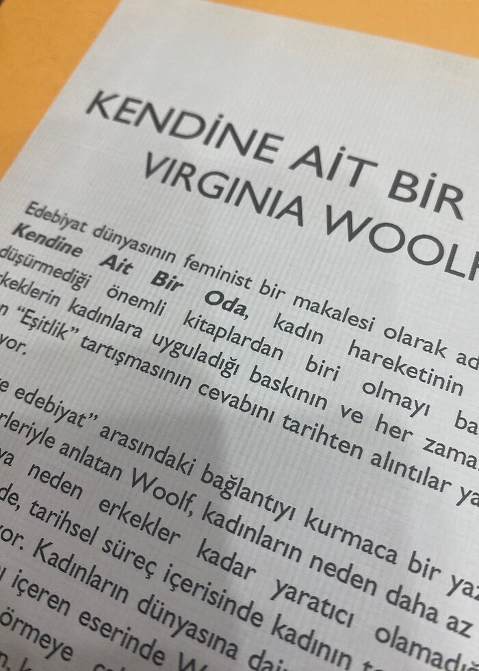 Kendine Ait Bir Oda - Virginia Woolf - İndigo Yayınları - Görsel 2