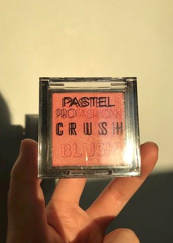 Pastel Pro Fashion Toz allık 301 numara