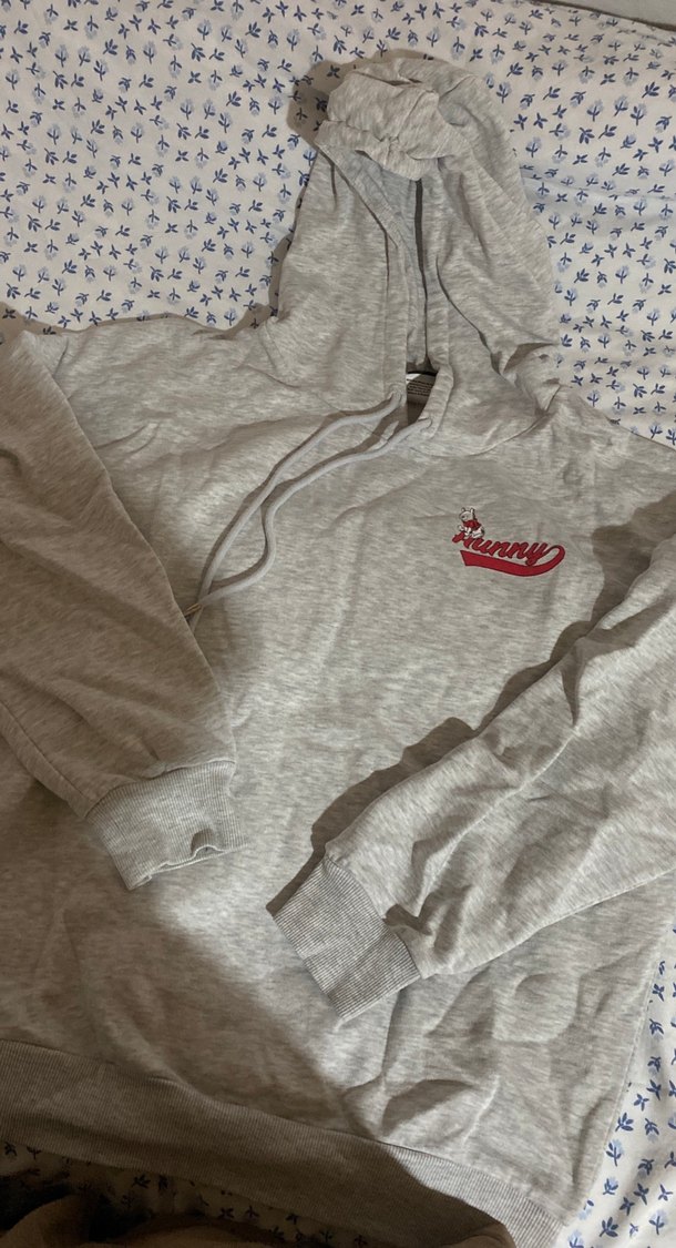 Gri Nakışlı Kapüşonlu Kadın Sweatshirt - Görsel 2