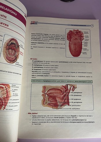 TUSDATA Entegre Temel Gastrointestinal Sistem Kitabı
